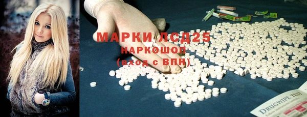 ПСИЛОЦИБИНОВЫЕ ГРИБЫ Алзамай