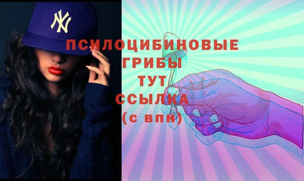 круглые Алексеевка