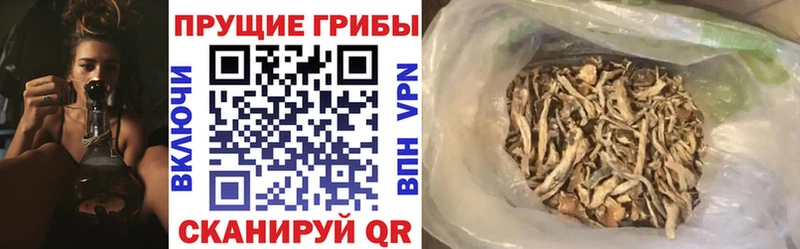 маркетплейс какой сайт Слободской Галлюциногенные грибы MAGIC MUSHROOMS KRAKEN